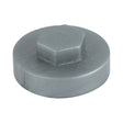 This is an image of Timco - Hex Head Cover Caps - Dark Silver 19mm - (1000 PCS Bag) 19RAL9007CAP