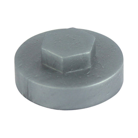 This is an image of Timco - Hex Head Cover Caps - Dark Silver 19mm - (1000 PCS Bag) 19RAL9007CAP