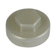 This is an image of Timco - Hex Head Cover Caps - Metallic Silver 19mm - (1000 PCS Bag) 19S7500CAP