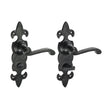 This is an image of Timco - Fleur De Lys Ornate Bathroom Handles - Antique Black 195 x 55 (1 Pairs Box) 200007