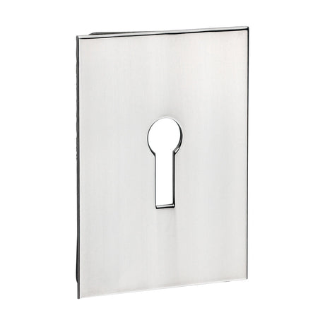 This is an image of Timco - Lock Profile Self-Adhesive Escutcheon - Oblong - Polished Stainless Steel 65 x 47 (1 Each TIMpac) 200027P