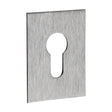 This is an image of Timco - Euro Profile Self-Adhesive Escutcheon - Oblong - Satin Stainless Steel 65 x 47 (1 Each Bag) 200439
