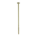 This is an image of Timco - Timber Screws - TX - Wafer - Exterior - Green 8.0 x 250mm - (4 PCS TIMpac) 250INDEXWP