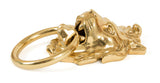 From The Anvil - Polished Brass Lion Head Door Knocker | Sku. 33020 | Trade Door Handles.