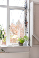 From The Anvil - Pewter 4" x 3" x 5" Parliament Hinge (pair) ss | Sku. 33046 | Trade Door Handles.