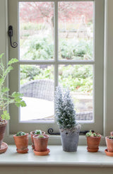 From The Anvil - Beeswax 10" Monkeytail Stay | Sku. 33143 | Trade Door Handles.