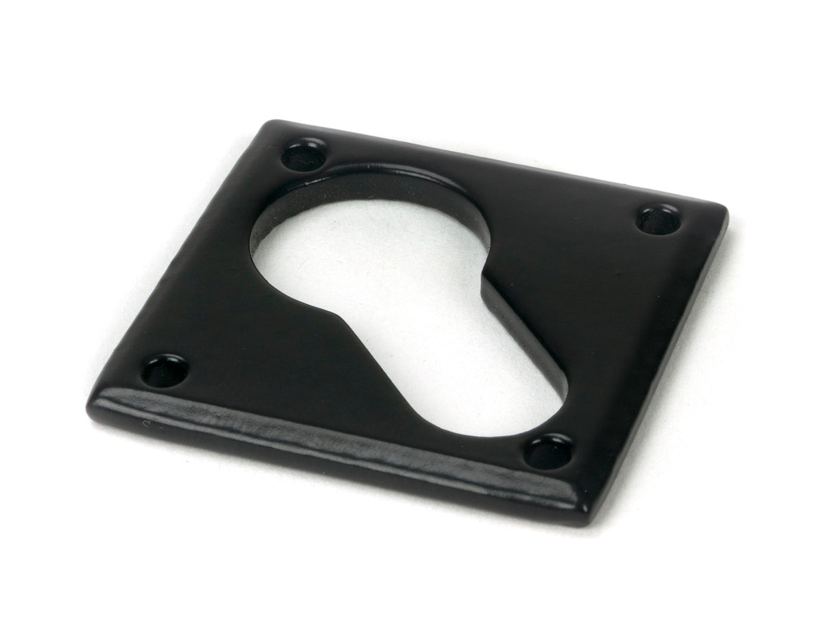 From The Anvil - Black Diamond Euro Escutcheon | Sku. 33236 | Trade Door Handles.