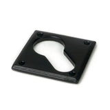 From The Anvil - Black Diamond Euro Escutcheon | Sku. 33236 | Trade Door Handles.