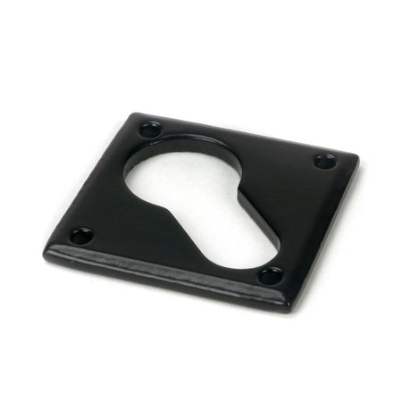 From The Anvil - Black Diamond Euro Escutcheon | Sku. 33236 | Trade Door Handles.