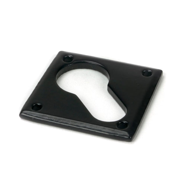 From The Anvil - Black Diamond Euro Escutcheon | Sku. 33236 | Trade Door Handles.