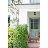 From The Anvil - Black Oval Mortice/Rim Knob Set | Sku. 33251 | Trade Door Handles.