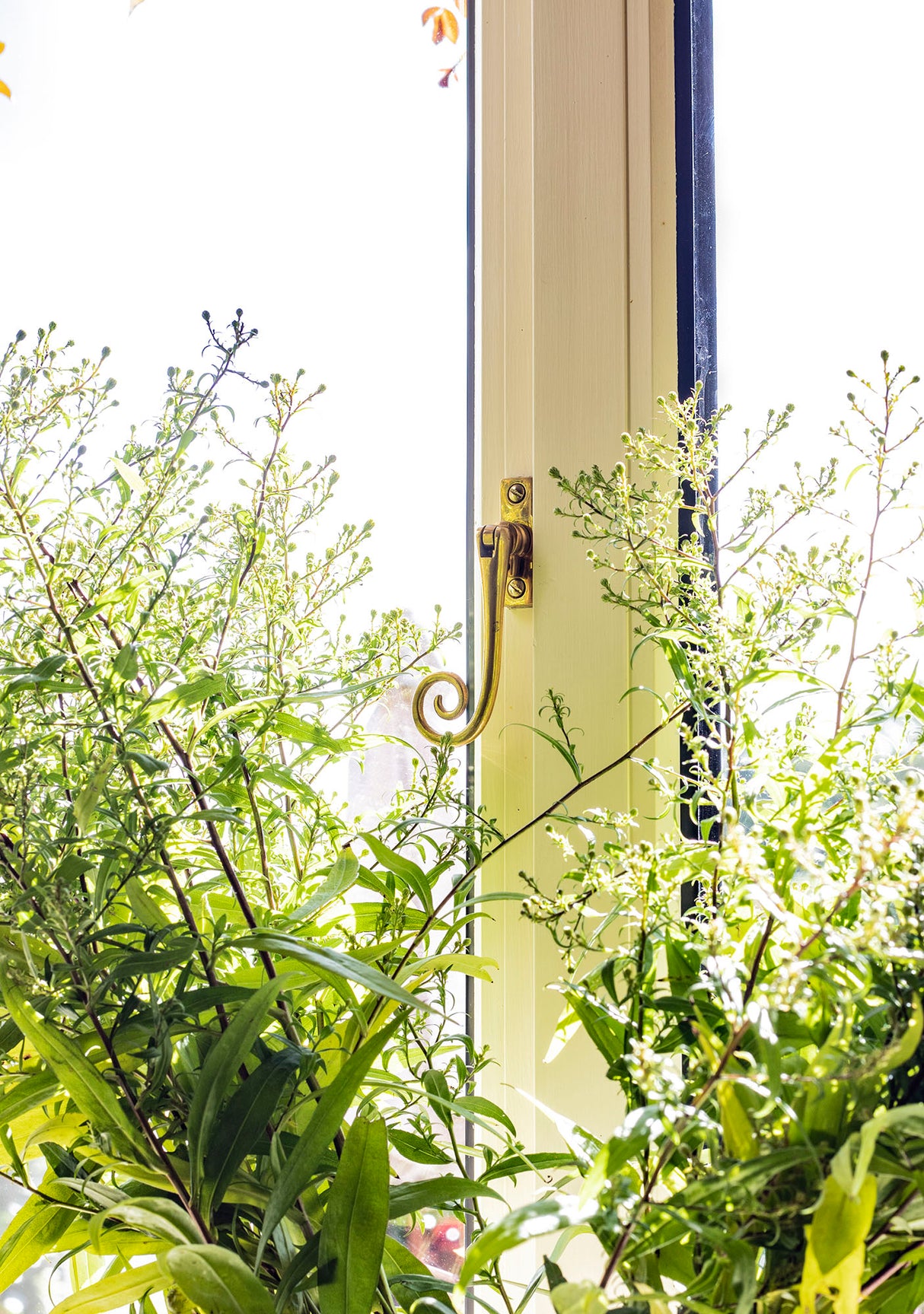 From The Anvil - Polished Brass Slim Monkeytail Espag - LH | Sku. 33310 | Trade Door Handles.