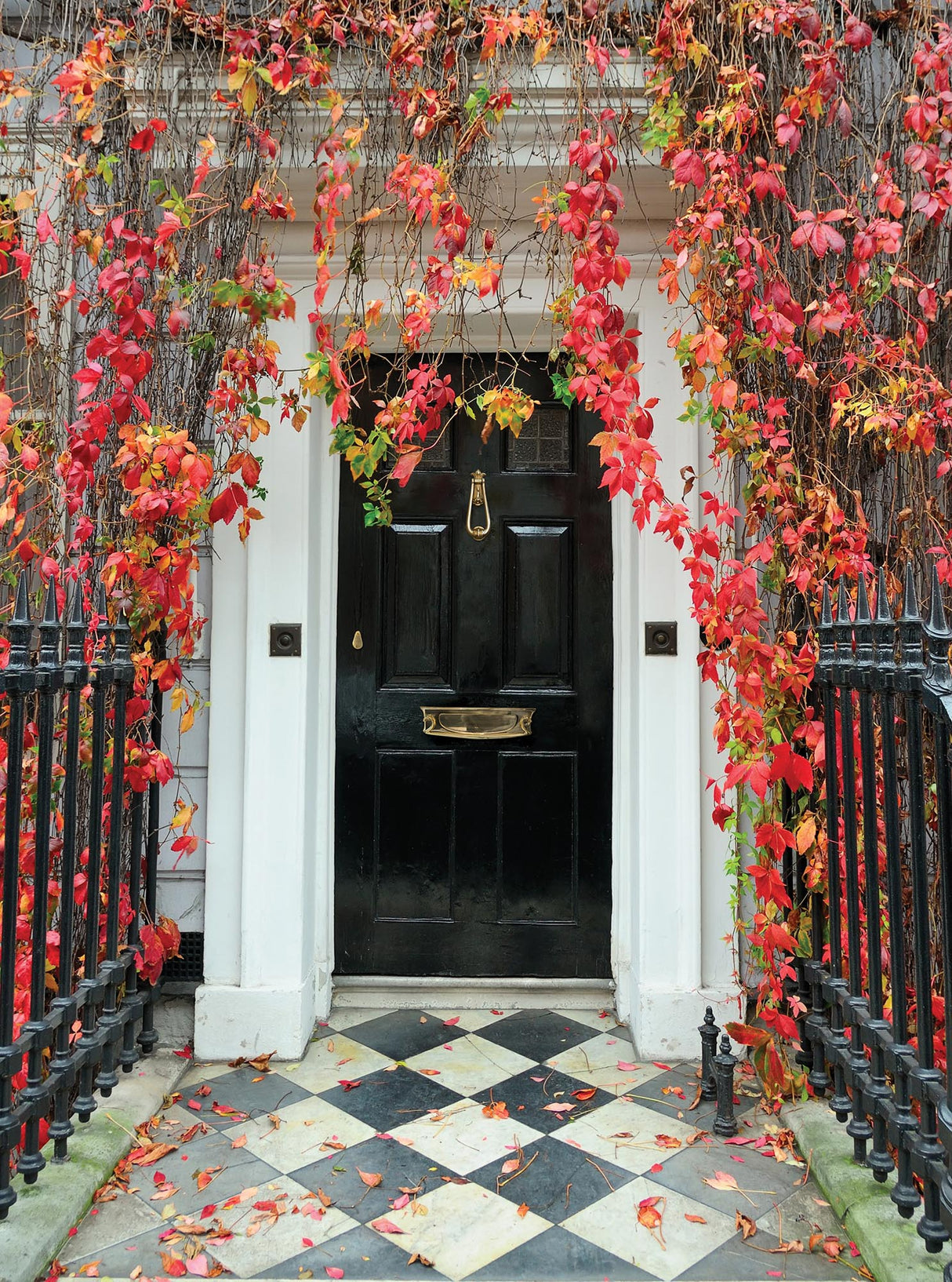 From The Anvil - Polished Brass Loop Door Knocker | Sku. 33610M | Trade Door Handles.