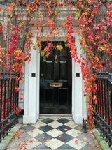 From The Anvil - Polished Brass Loop Door Knocker | Sku. 33610M | Trade Door Handles.