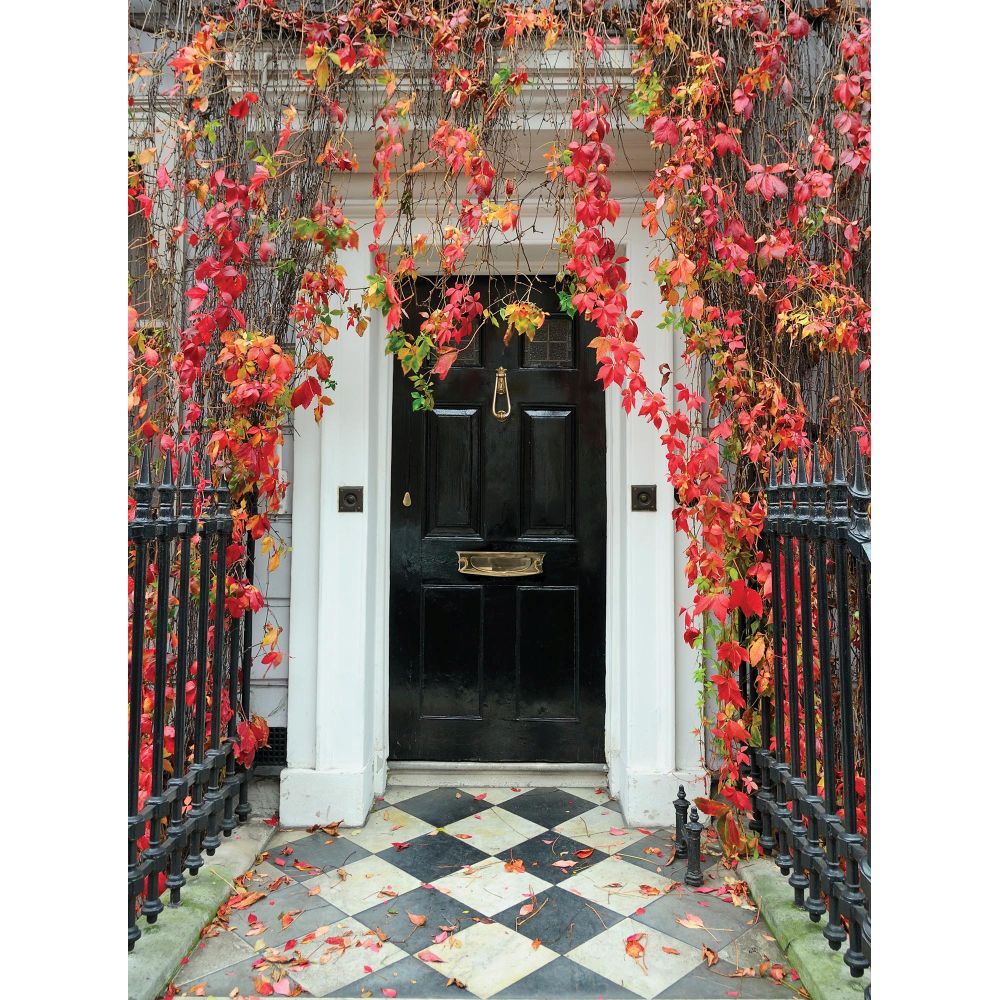 From The Anvil - Polished Brass Loop Door Knocker | Sku. 33610M | Trade Door Handles.