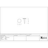 From The Anvil - Pewter 2" Handmade Nail | Sku. 33775 | Trade Door Handles.