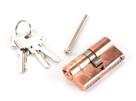 From The Anvil - Polished Bronze 30/30 5pin Euro Cylinder KA | Sku. 45821 | Trade Door Handles.