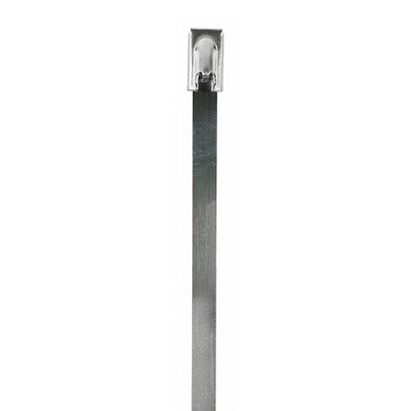 This is an image of Timco - Cable Ties - Stainless Steel 4.6 x 152mm - (100 PCS Bag) 46152CTSS