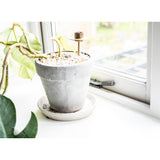 From The Anvil - Pewter 12" Brompton Stay | Sku. 46190 | Trade Door Handles.