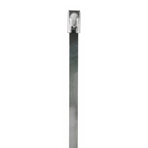 This is an image of Timco - Cable Ties - Stainless Steel 4.6 x 200mm - (100 PCS Bag) 46200CTSS