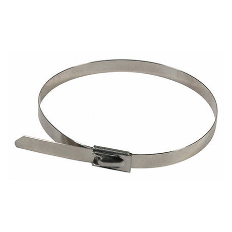 This is an image of Timco - Cable Ties - Stainless Steel 4.6 x 200mm - (100 PCS Bag) 46200CTSS