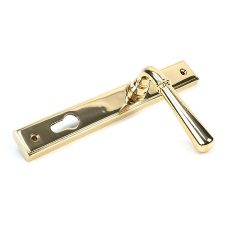 From The Anvil - Polished Brass Newbury Slimline Lever Espag. Lock Set | Sku. 46529 | Trade Door Handles.