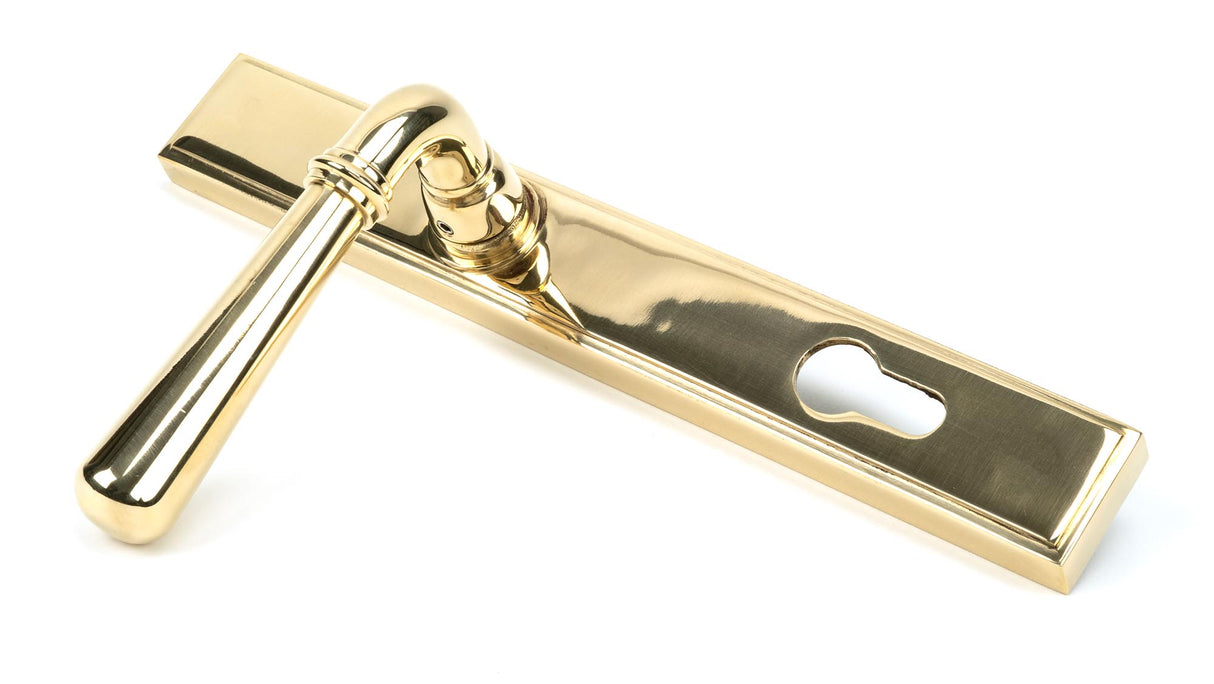 From The Anvil - Polished Brass Newbury Slimline Lever Espag. Lock Set | Sku. 46529 | Trade Door Handles.