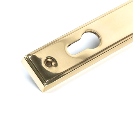 From The Anvil - Polished Brass Newbury Slimline Lever Espag. Lock Set | Sku. 46529 | Trade Door Handles.