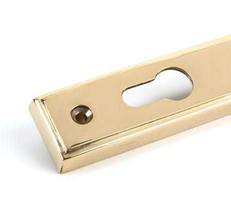 From The Anvil - Polished Brass Hinton Slimline Lever Espag. Lock Set | Sku. 46547 | Trade Door Handles.