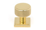 From The Anvil - Polished Brass Brompton Cabinet Knob - 25mm (Square) | Sku. 46824 | Trade Door Handles.