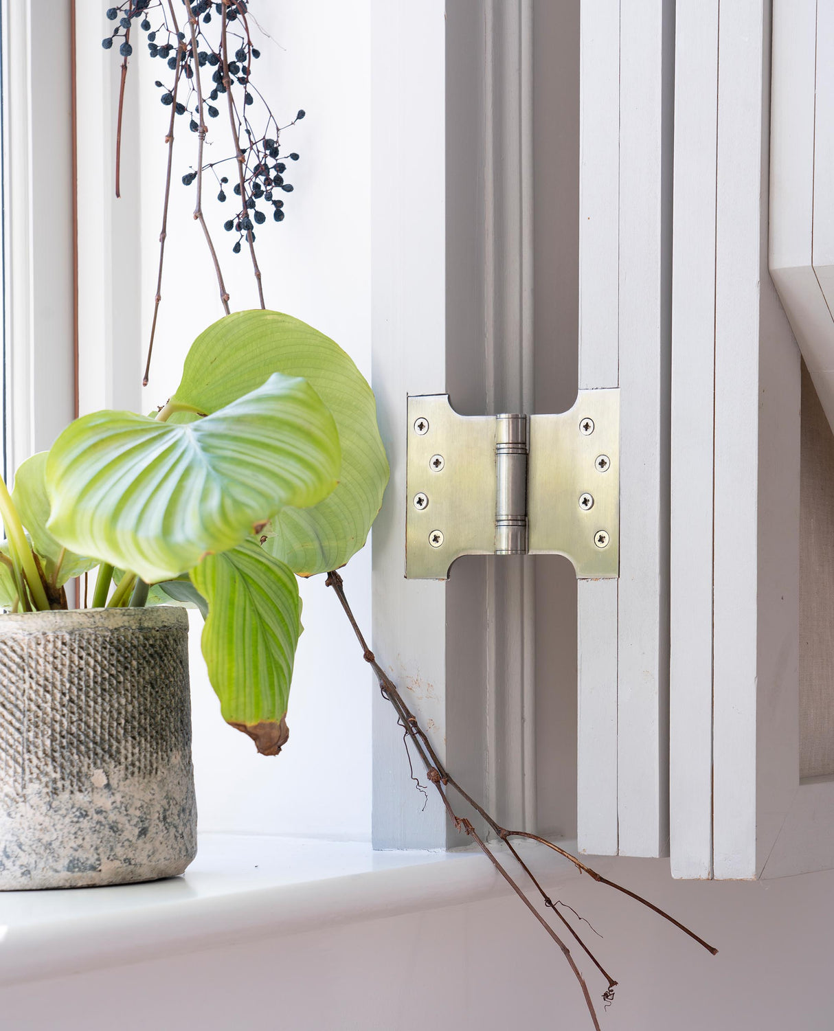 From The Anvil - Satin SS 4" x 4" x 6" Parliament Hinge (pair) | Sku. 49568 | Trade Door Handles.