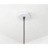 From The Anvil - Smooth Brass Frankley Pendant in Flock | Sku. 49722SF | Trade Door Handles.