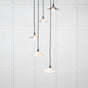 From The Anvil - Smooth Nickel Flora Cluster Pendant in Birch | Sku. 49727SBI | Trade Door Handles.