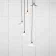 From The Anvil - Smooth Brass Flora Cluster Pendant in Birch | Sku. 49728SBI | Trade Door Handles.