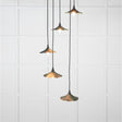 From The Anvil - Smooth Brass Flora Cluster Pendant in Dingle | Sku. 49728SDI | Trade Door Handles.