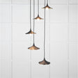 From The Anvil - Smooth Brass Flora Cluster Pendant in Soot | Sku. 49728SSO | Trade Door Handles.