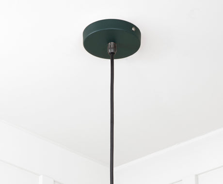 From The Anvil - Smooth Brass Flora Pendant in Dingle | Sku. 49731SDI | Trade Door Handles.