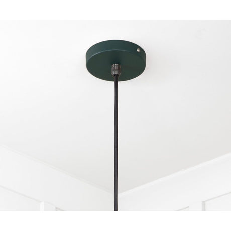 From The Anvil - Smooth Brass Flora Pendant in Dingle | Sku. 49731SDI | Trade Door Handles.