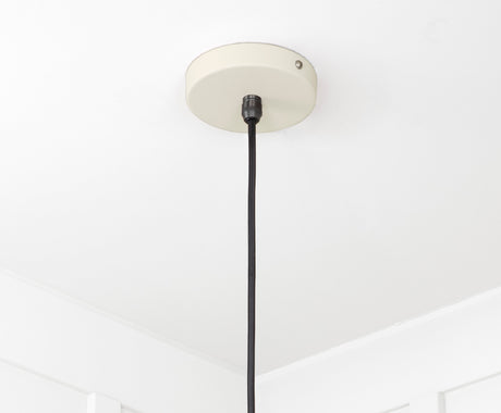 From The Anvil - Smooth Brass Flora Pendant in Teasel | Sku. 49731STE | Trade Door Handles.