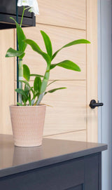 From The Anvil - Matt Black Brompton Lever on Rose Set (Beehive) - Unsprung | Sku. 50011 | Trade Door Handles.