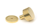 From The Anvil - Polished Brass Judd Cabinet Knob - 32mm (Plain) | Sku. 50364 | Trade Door Handles.