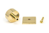 From The Anvil - Polished Brass Judd Cabinet Knob - 32mm (Square) | Sku. 50366 | Trade Door Handles.