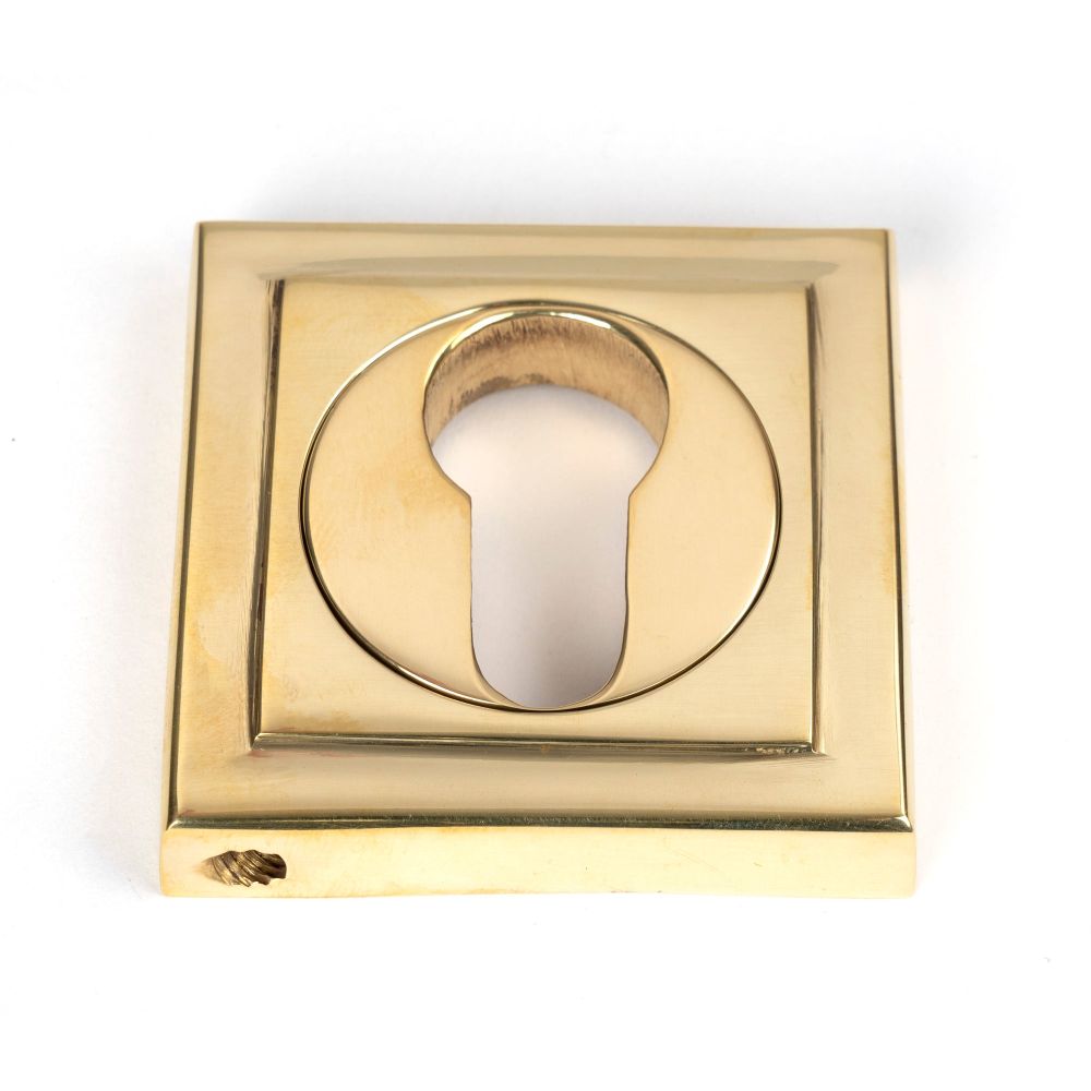 From The Anvil - Polished Brass Round Euro Escutcheon (Square) | Sku. 50595 | Trade Door Handles.