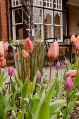 From The Anvil - Polished Marine SS (316) 30cm Flora Pot | Sku. 50756 | Trade Door Handles.