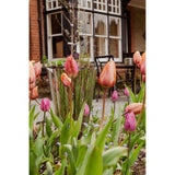 From The Anvil - Polished Marine SS (316) 30cm Flora Pot | Sku. 50756 | Trade Door Handles.