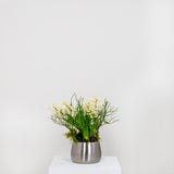 From The Anvil - Satin Marine SS (316) 12.5cm Hepworth Pot | Sku. 50758 | Trade Door Handles.