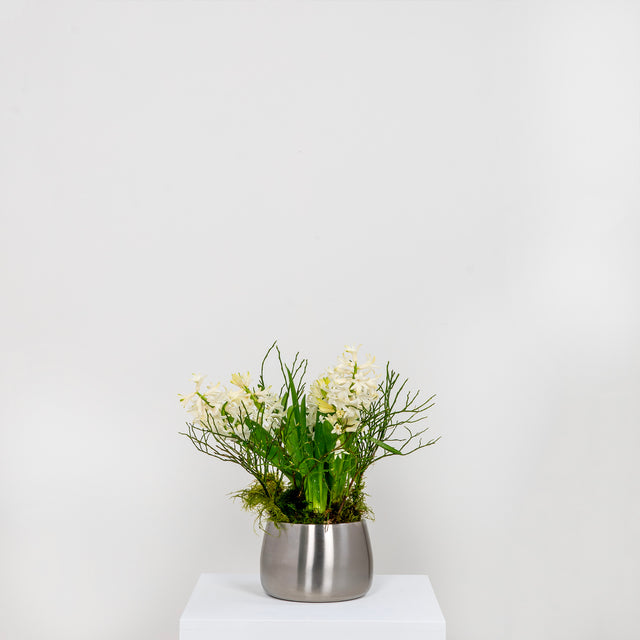 From The Anvil - Satin Marine SS (316) 12.5cm Hepworth Pot | Sku. 50758 | Trade Door Handles.