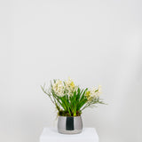 From The Anvil - Polished Marine SS (316) 12.5cm Hepworth Pot | Sku. 50761 | Trade Door Handles.