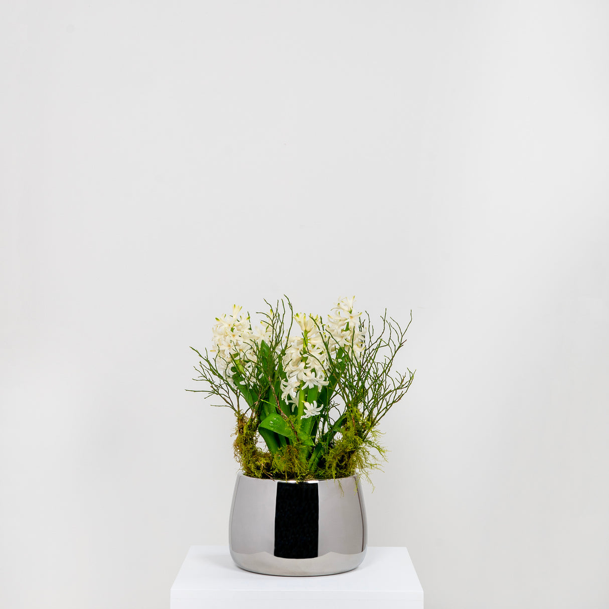 From The Anvil - Polished Marine SS (316) 16cm Hepworth Pot | Sku. 50762 | Trade Door Handles.