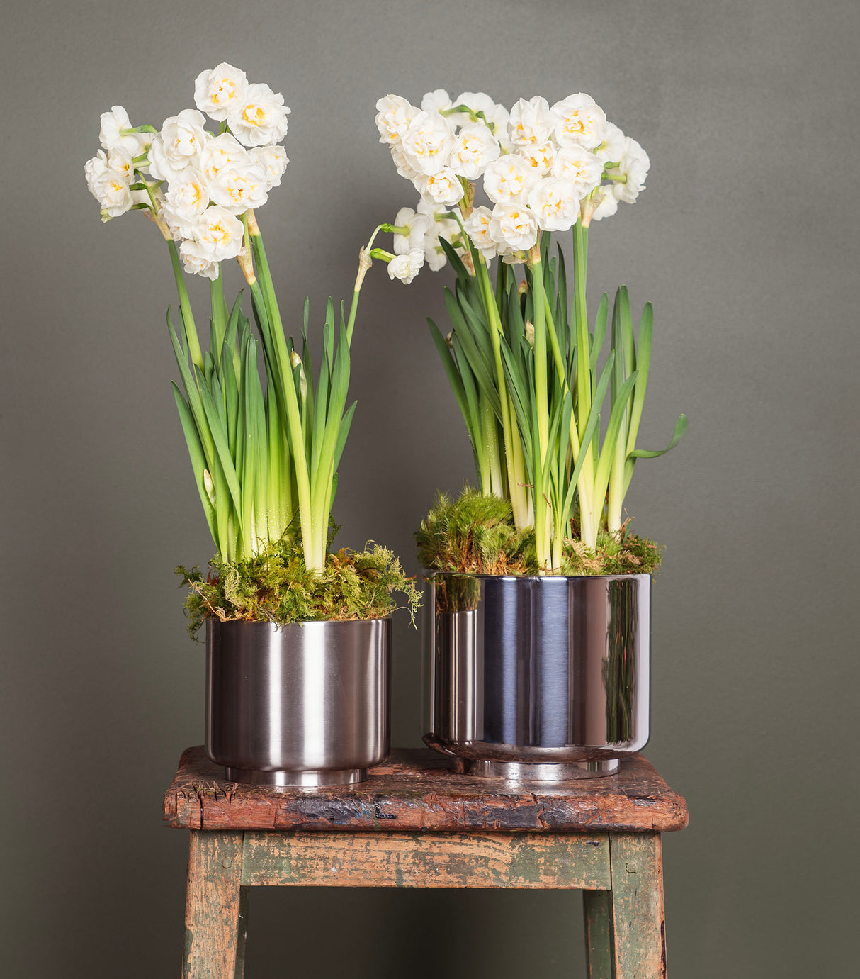 From The Anvil - Satin Marine SS (316) 12.5cm Newlyn Pot | Sku. 50764 | Trade Door Handles.